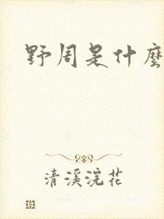 野周是什么意思