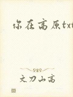 你在高原txt