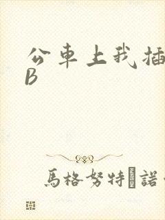 公车上我插上骚B