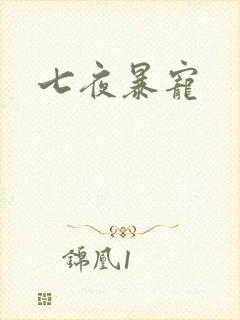 七夜暴宠