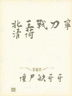 北王战刀宁北苏清荷