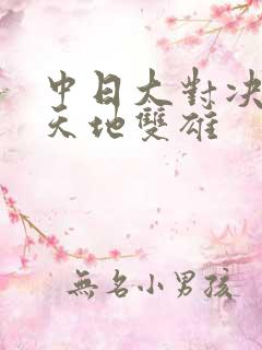 中日大对决  天地双雄