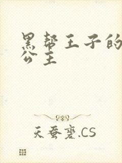 黑帮王子的淘气公主