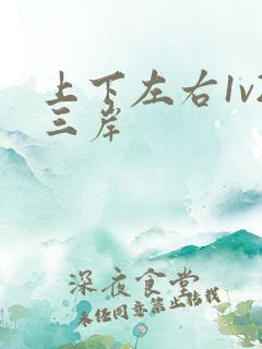 上下左右1v2三岸