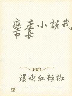 恋老小说我和老市长