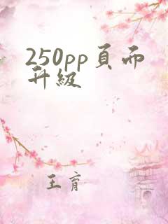 250pp页面升级