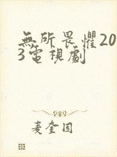 无所畏惧2023电视剧