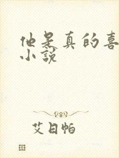 他是真的喜欢你小说