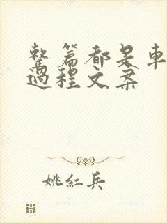 整篇都是车的肉过程文案