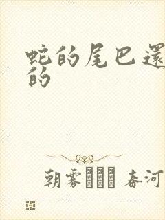 蛇的尾巴还在我的