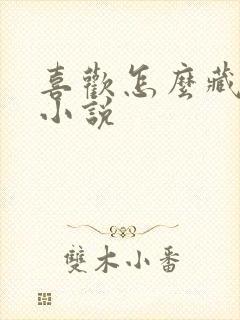 喜欢怎么藏不住小说