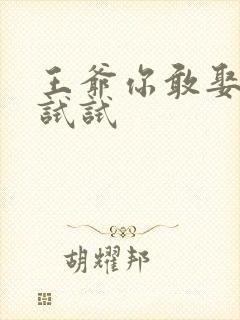 王爷你敢娶小三试试