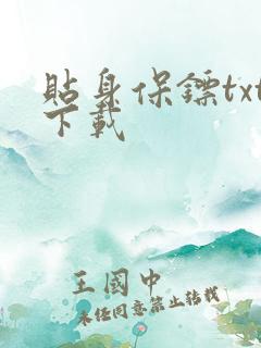 贴身保镖txt下载