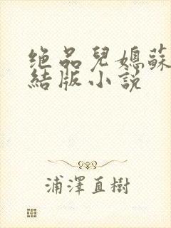 绝品儿媳苏暖完结版小说