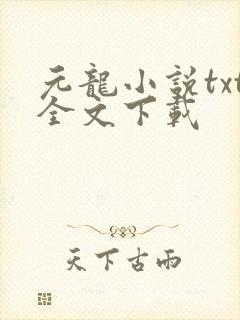 元龙小说txt全文下载