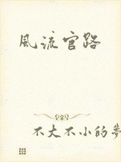 风流官路