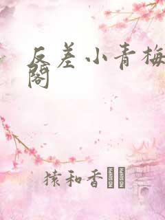 反差小青梅笔趣阁