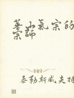 华山气宗的形意宗师