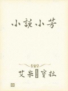 小说小芳