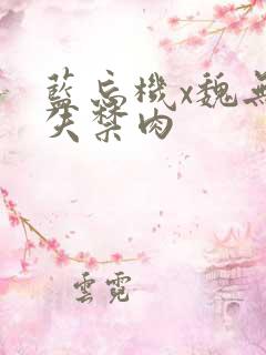 蓝忘机x魏无羡失禁肉