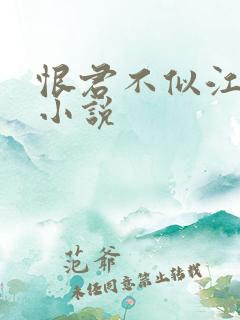 恨君不似江楼月小说