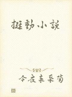 挺动小说