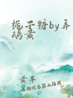 栀子糖by弄白鹅黄