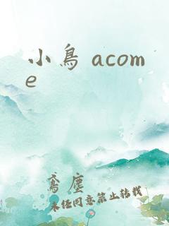 小鸟 acome