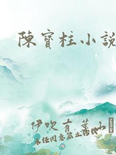 陈宝柱小说