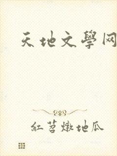天地文学网