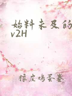 始料未及的软1v2H