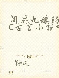 周府九娘的NPC古言小说叫什么