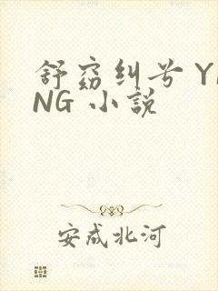 舒窈纠兮 YING 小说