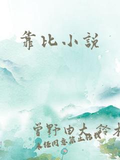 靠比小说