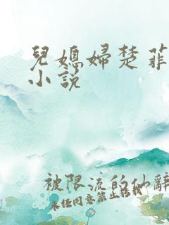 儿媳妇楚菲菲的小说