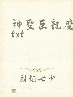 神圣巨龙魔法师txt