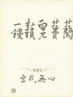 一对白花花的大馒头免费阅读