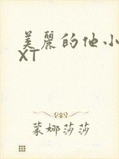 美丽的他小说TXT