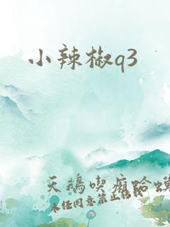 小辣椒q3