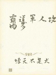 霸道军人攻现代肉多