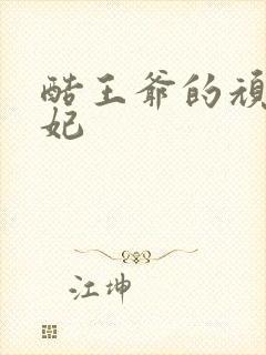 酷王爷的顽皮王妃