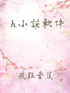 h小说软件