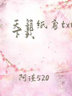 天籁纸鸢txt下载