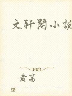 文轩阁小说网