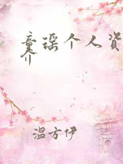 童瑶个人资料简介