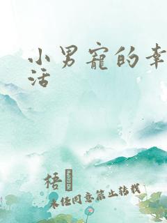 小男宠的幸福生活