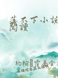 落不下小说免费阅读