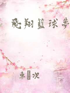 飞翔篮球梦下载