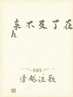 来不及了在车ch