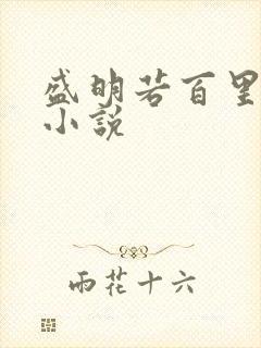 盛明若百里轻尘小说